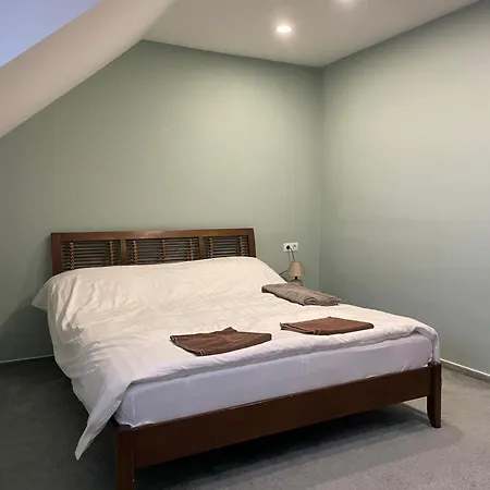 Apartment Szoegedi *