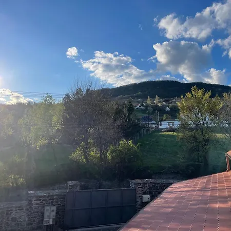 Szoegedi 바다초니토마이