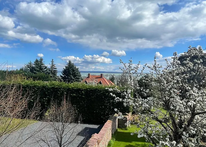 Szoegedi * 바다초니토마이